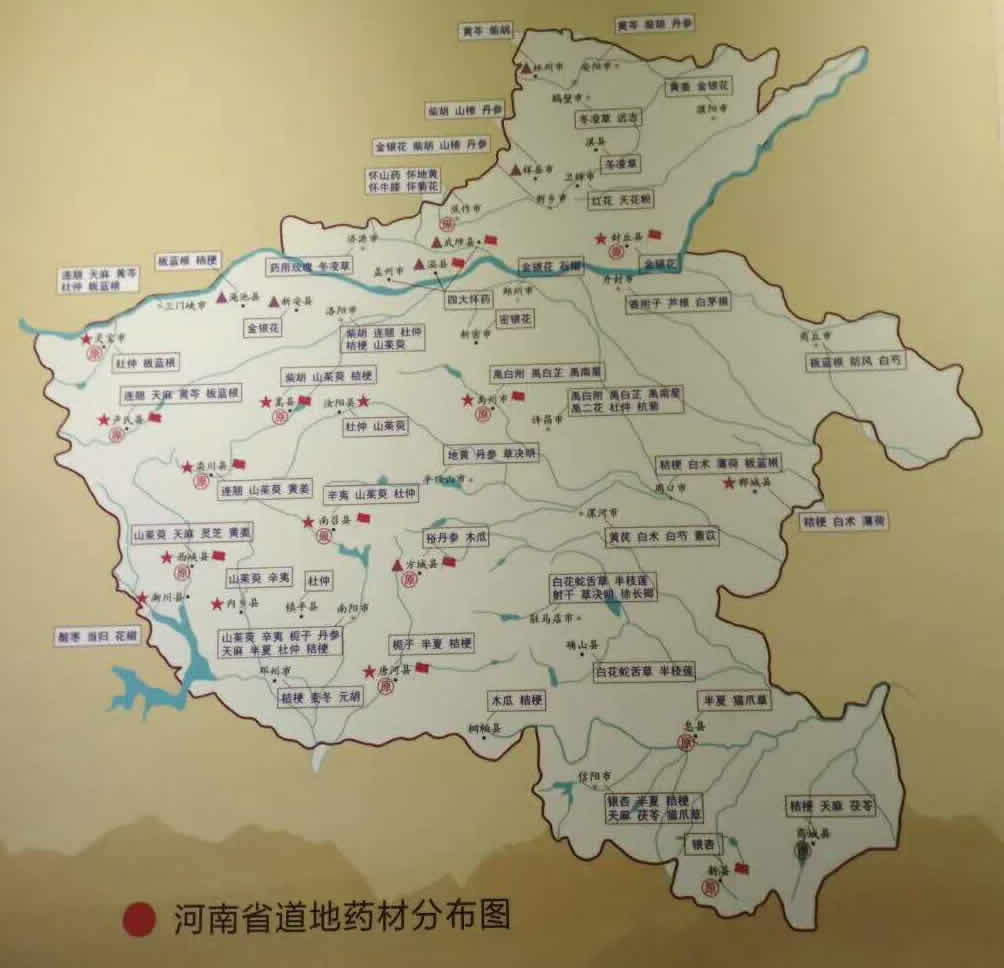 河南道地藥材