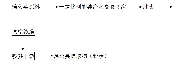 蒲公英提取物提取工藝流程