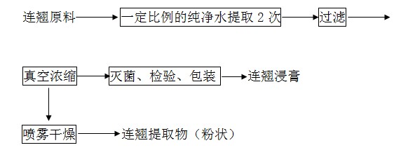 連翹提取物提取工藝流程