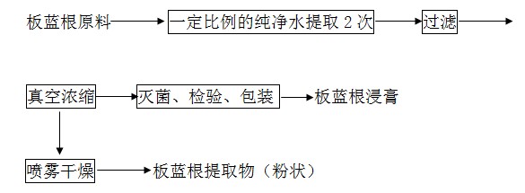 板藍根提取物提取工藝